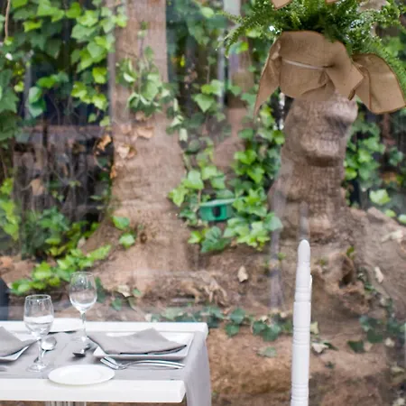 فندق سيزار 3*