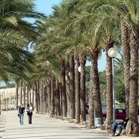 Cesar Hotel 3*